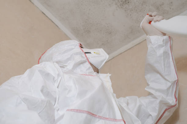 Trusted Gloversville, NY Mold Prevention & Removal  Experts